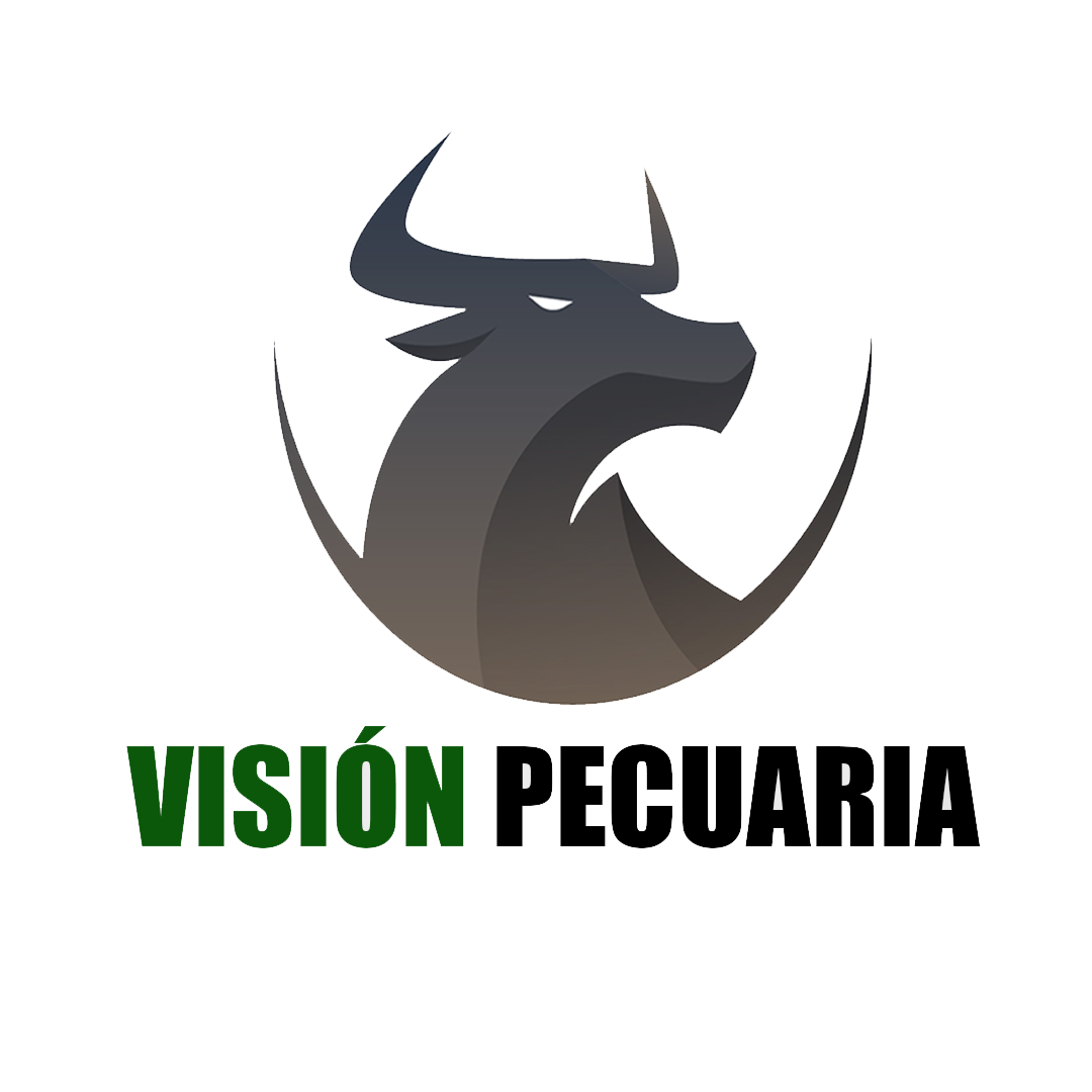 VISION PECUARIA